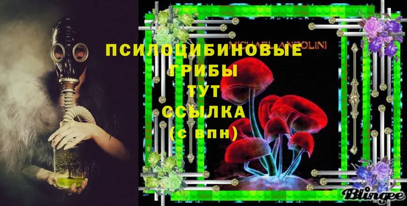 Галлюциногенные грибы Psilocybine cubensis  hydra tor  Полярные Зори  купить  цена 